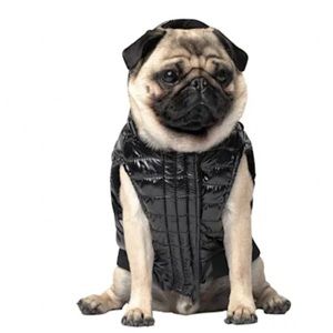 Canada Pooch Shiny Puffer Dog/Puppy Vest
